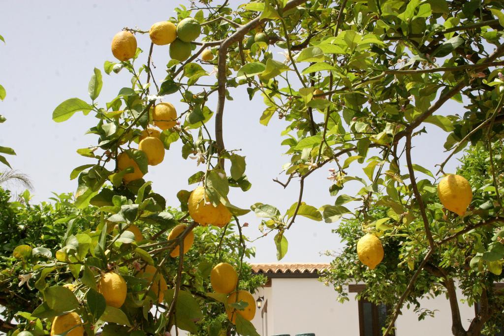 Отель Terra Dei Limoni Lido di Noto Экстерьер фото