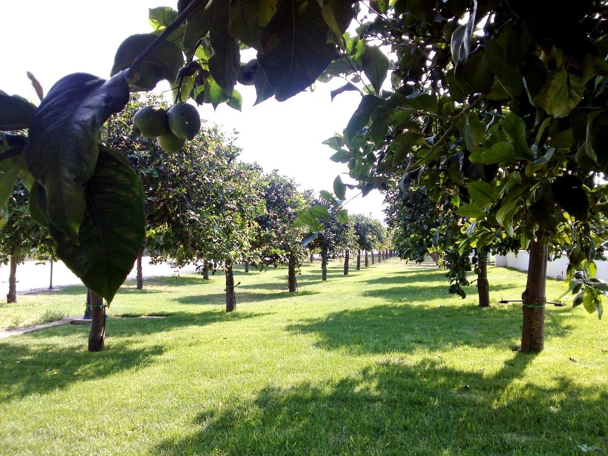 Отель Terra Dei Limoni Lido di Noto Экстерьер фото